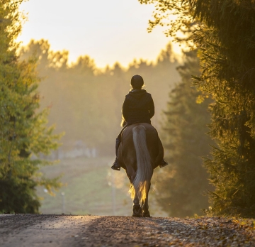 3-day horseback ride through the Mâcon vineyards