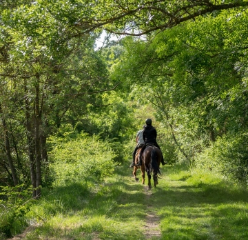 4-day horseback ride through the Brionnais