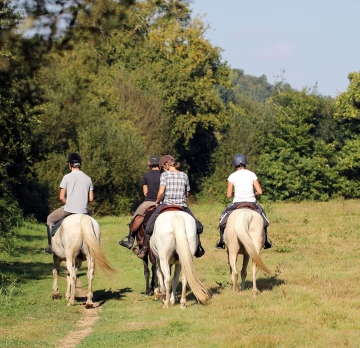 5-day horseback ride in the footsteps of D'Artagnan