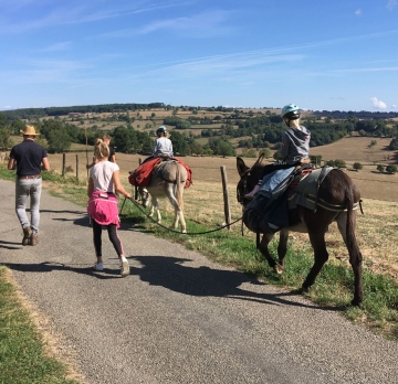 Randonnée Liberté 4 jours avec un âne en Brionnais