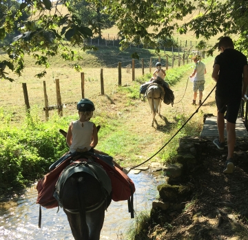 Six-day unaccompanied hike with a donkey