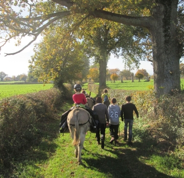 Three-day unaccompanied hike with a donkey