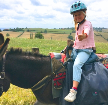 Two-day unaccompanied hike with a donkey