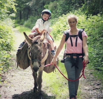 Five-day unaccompanied hike with a donkey beginner