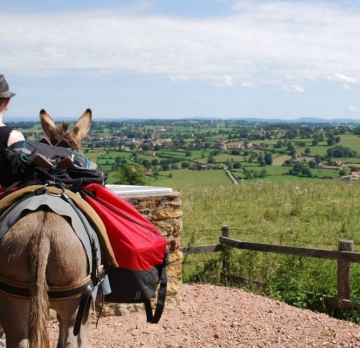 Six-day unaccompanied hike with a donkey beginner / with young children