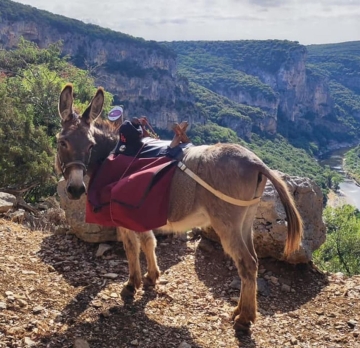 Ardèche : rando âne dans les gorges 5 ou 6 jours