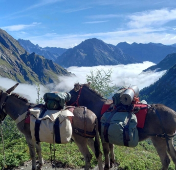 Les Ecrins : rando âne accompagnée 5 jours