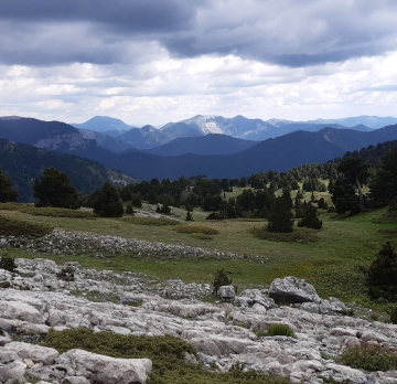 Séjour Faune autour des Écrins