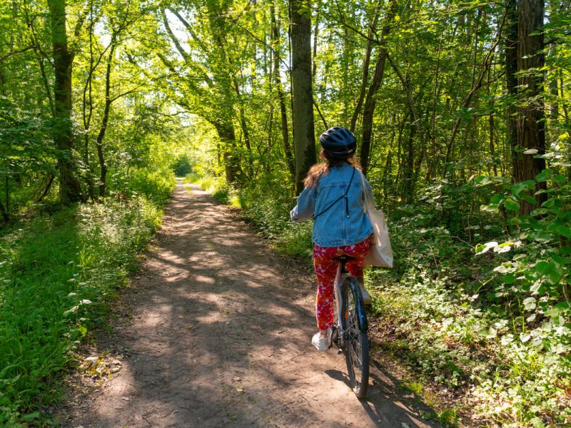 Foret d'Orleans ©LesCoflocs