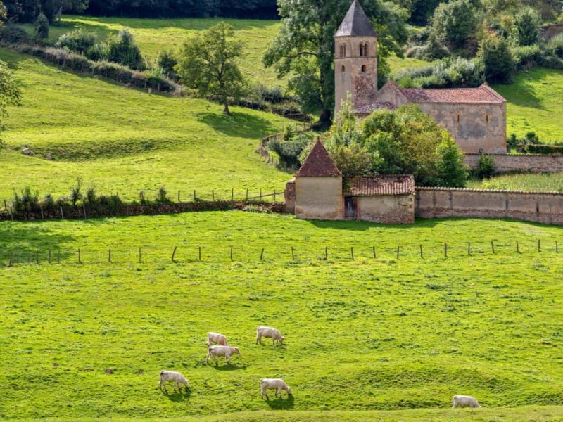 randonnée âne en Bourgogne
