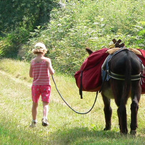 rando avec un âne en Bourgogne