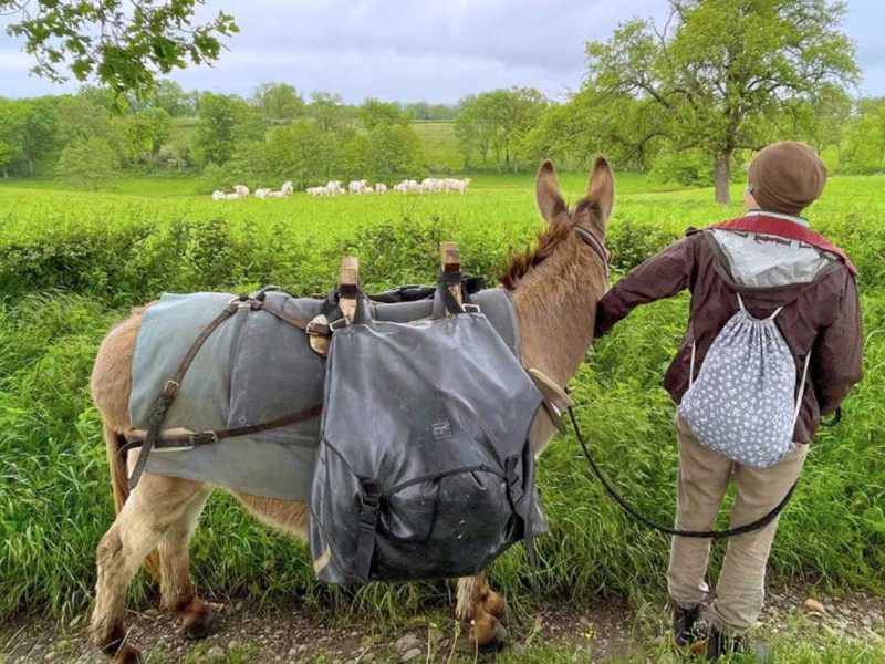 Randonnée avec un âne en Bourgogne