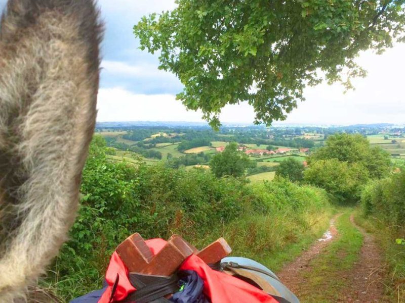 Randonnée avec un âne Balade Odyssée