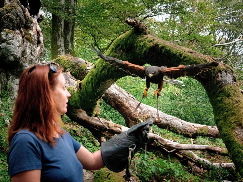 © DSL71 Les Coflocs