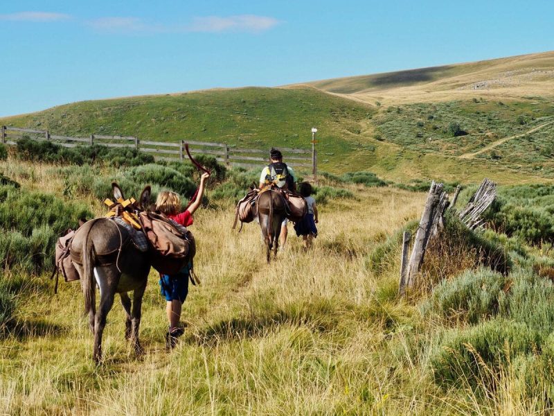 © roswitha.kepeklian