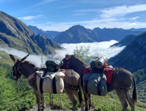 rando-ane-parc-national-ecrin-1200