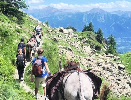 rando ane accompagnee parc national des ecrins montagne sejour famille