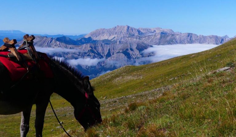 rando ane accompagnee en montagne dans le parc national des ecrins champsaur 5 jours